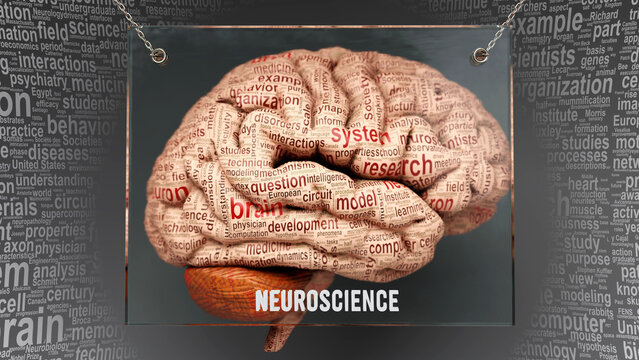 Avaliacao neuropsicológica